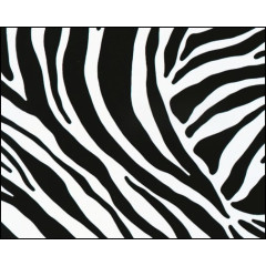 samolepící fólie ZEBRA 11029 šířka 67,5 cm